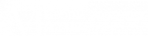 Medina Gardening & Landscape | Woodinville, WA